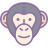 Chimpancé icon