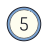 5 en círculo icon