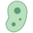 Bacteria icon