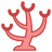 Coral icon