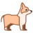 柯基犬 icon