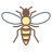 Hornet icon