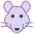 Rat icon