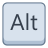 Alt 키 icon