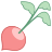 Radish icon