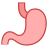 Stomach icon