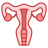 Uterus icon