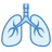 Pulmones icon