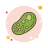 Bacteria icon