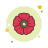 Flor de Amapola icon