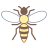 马蜂 icon