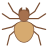 Aranha icon