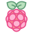 Raspberry Pi icon
