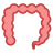 Colon icon