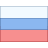 Russian Federation icon