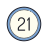 21 Circled icon