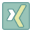 XING icon