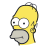 Homero Simpson icon