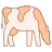 Cow Breed icon