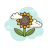 Girasol icon