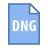 DNG icon