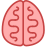 Cerebro icon