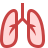 Pulmones icon