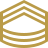 Мастер-сержант Армии США icon