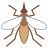 Mosquito icon