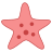 Étoile de mer icon
