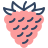 ラズベリー icon