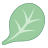 spinaci icon