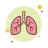 Lungs icon