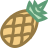 Piña icon