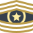 Command Sergeant Major CSM icon