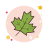 Maple Leaf icon