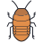 マダガスカルゴキブリ icon