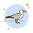 Möwe icon