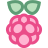 Raspberry Pi icon