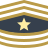 Sergeant Major SGT icon