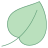 Leaf icon