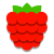 Raspberry icon