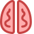 脑 icon