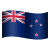 新西兰表情符号 icon