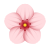 Flor de cerejeira icon
