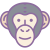 Chimpanzé icon