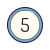 5 en círculo icon