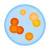 Petri Dish icon