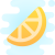 Citrus icon