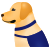 Собака-поводырь icon
